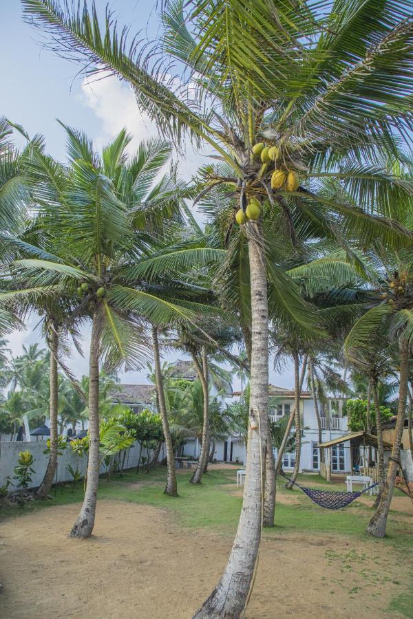 Kodi Beach Home ガル エクステリア 写真